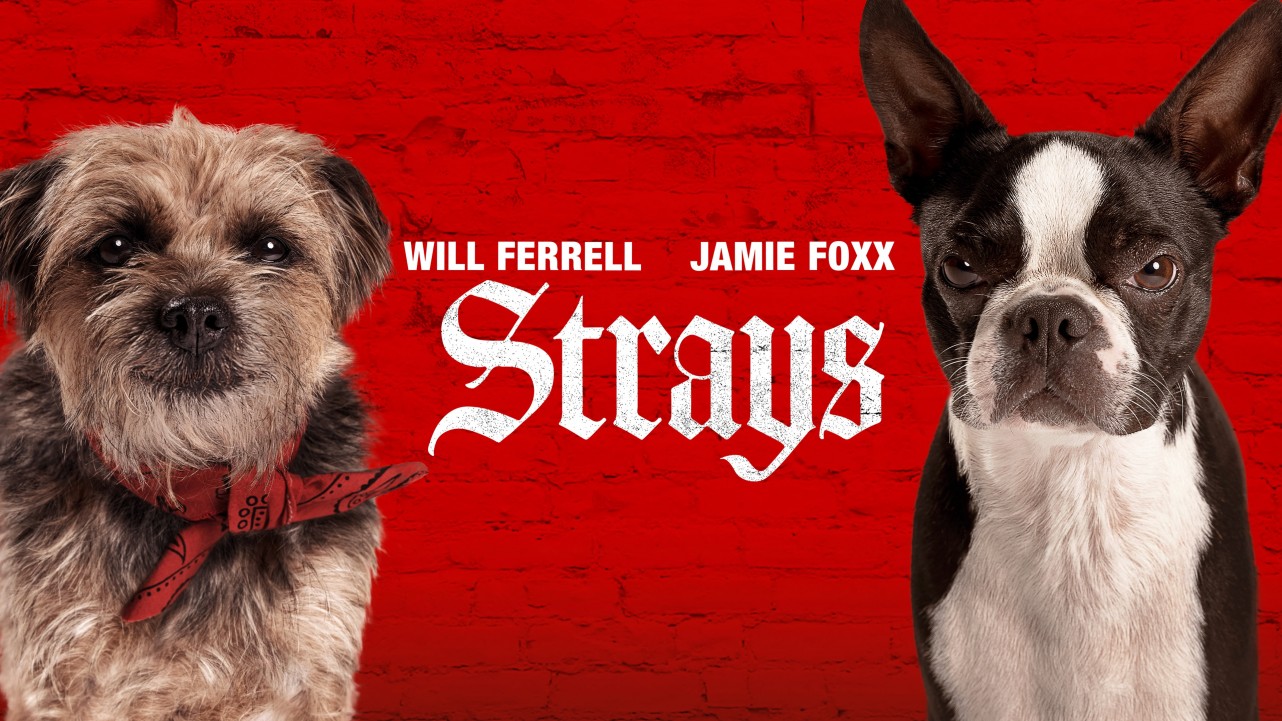 Watch Strays 2023 Full HD Movie free Ymovieshd