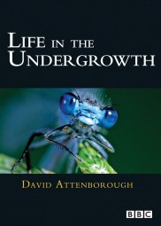 Life in the Undergrowth-full