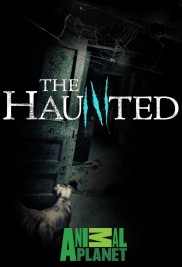 The Haunted-full