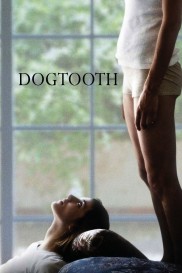 Dogtooth-full