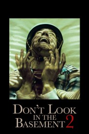 Don't Look in the Basement 2-full