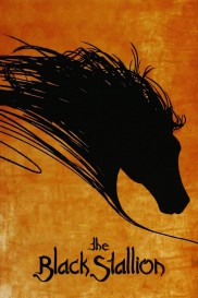 The Black Stallion-full