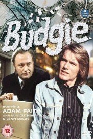 Budgie-full