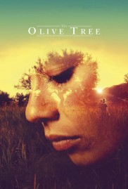 The Olive Tree-full