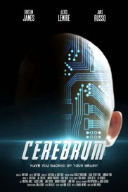 Cerebrum-full