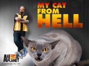 My Cat from Hell-full