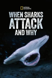 When Sharks Attack... and Why-full