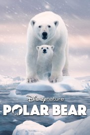 Polar Bear-full