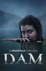 Dam-full