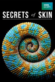 Secrets of Skin-full