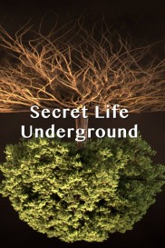 Secret Life Underground-full