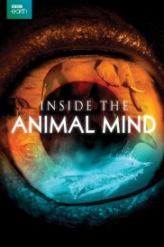 Inside the Animal Mind-full