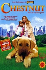 Chestnut: Hero of Central Park-full