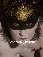 concrete_savanna-full