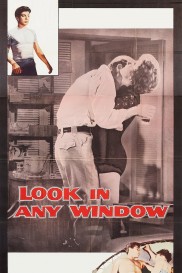 Look in Any Window-full
