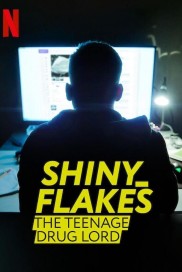 Shiny_Flakes: The Teenage Drug Lord-full