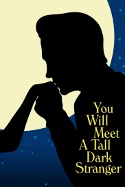You Will Meet a Tall Dark Stranger-full