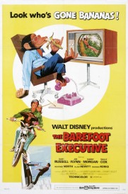 The Barefoot Executive-full