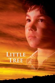 The Education of Little Tree-full