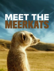 Meet The Meerkats-full