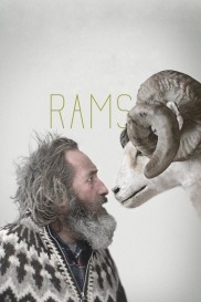 Rams-full